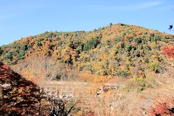 瑠璃光院の紅葉風景