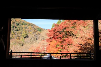 瑠璃光院の紅葉風景