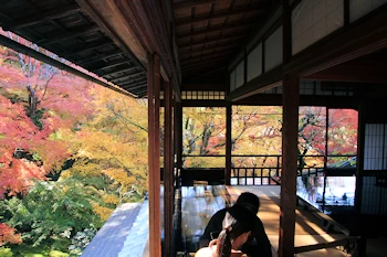 瑠璃光院の紅葉風景