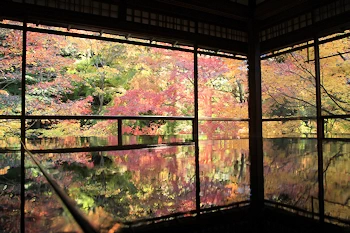 瑠璃光院の紅葉風景
