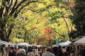 下鴨神社の紅葉風景