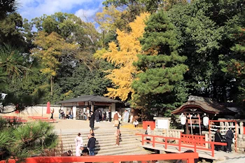 下鴨神社の紅葉風景