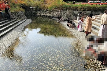 下鴨神社の紅葉風景