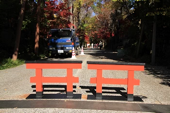 下鴨神社の紅葉風景