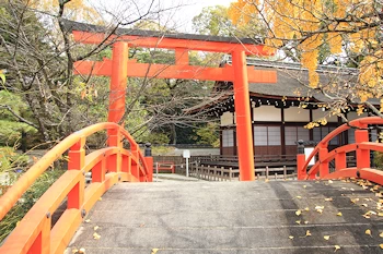 下鴨神社の紅葉風景