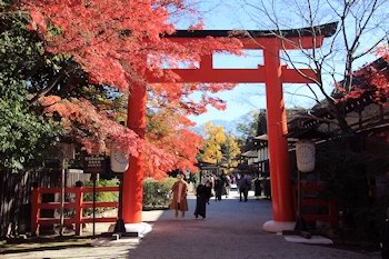 下鴨神社の紅葉風景