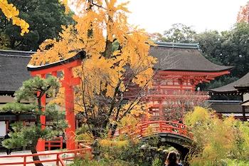 下鴨神社の紅葉風景