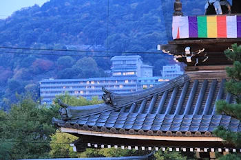 金戒光明寺の紅葉風景