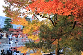 金戒光明寺の紅葉風景
