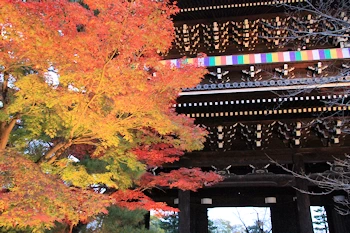 金戒光明寺の紅葉風景