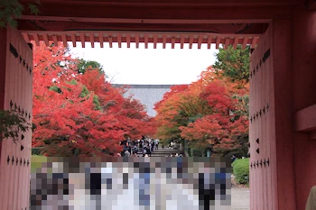 真如堂の紅葉風景