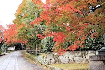 真如堂の紅葉風景