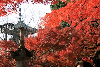 真如堂の紅葉風景