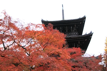 真如堂の紅葉風景