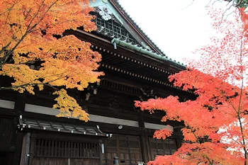 真如堂の紅葉風景