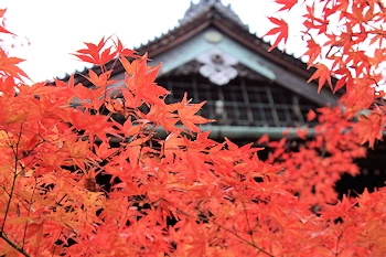 真如堂の紅葉風景