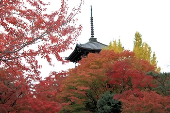 真如堂の紅葉風景