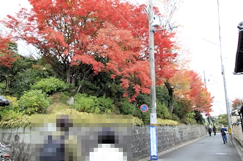 吉田山荘の紅葉風景