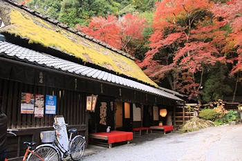 鳥居本の紅葉風景