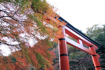 鳥居本の紅葉風景