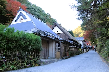 鳥居本の紅葉風景