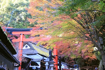 鳥居本の紅葉風景