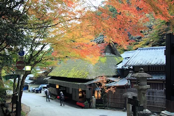 鳥居本の紅葉風景
