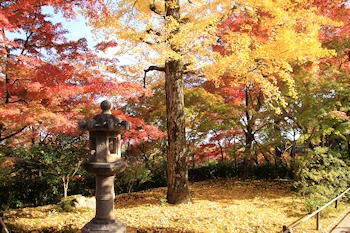 常寂光寺の紅葉風景