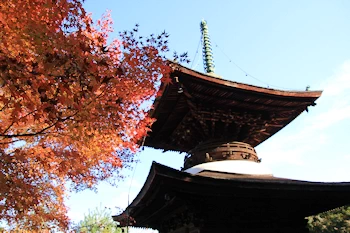 常寂光寺の紅葉風景
