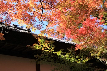常寂光寺の紅葉風景