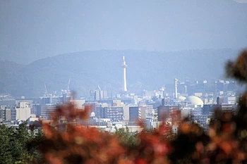 常寂光寺の紅葉風景