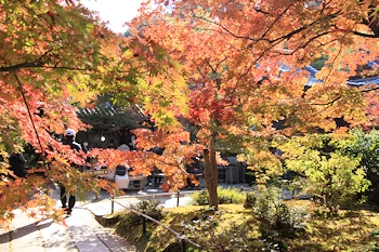常寂光寺の紅葉風景