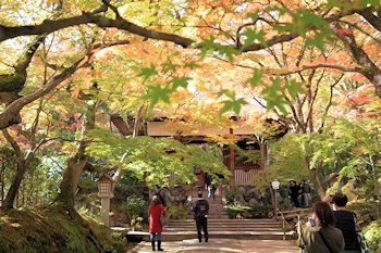 常寂光寺の紅葉風景