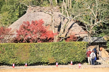 落柿舎の紅葉風景