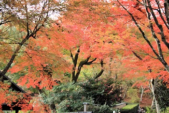 天龍寺の風景
