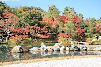 天龍寺の風景