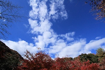 嵐山の風景
