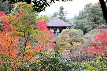 銀閣寺の風景