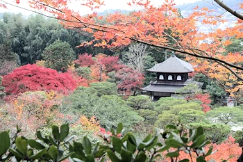 銀閣寺の風景