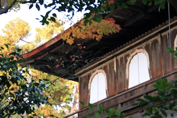 銀閣寺の風景