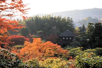 銀閣寺の風景