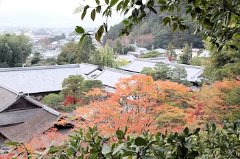 銀閣寺の風景