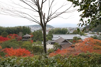 銀閣寺の風景