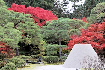 銀閣寺の風景