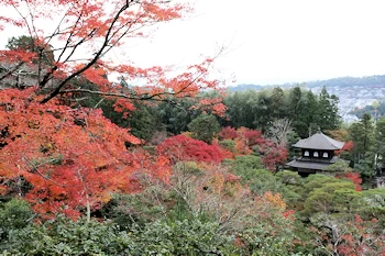 銀閣寺の風景
