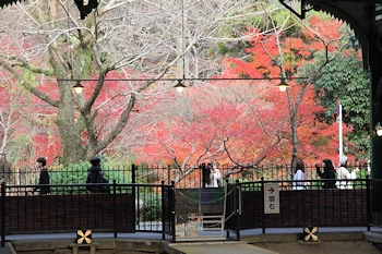 八瀬比叡山口駅の風景