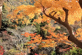 八瀬比叡山口駅の風景
