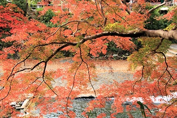 八瀬比叡山口駅の風景