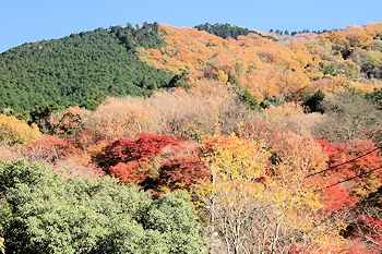 八瀬比叡山口駅の風景