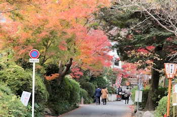 八瀬比叡山口駅の風景